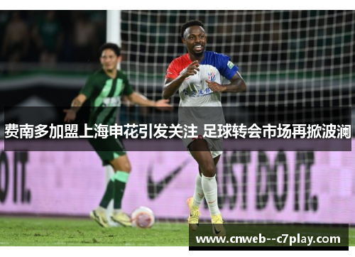 费南多加盟上海申花引发关注 足球转会市场再掀波澜 费南多加盟上海申花引发关注 足球转会市场再掀波澜