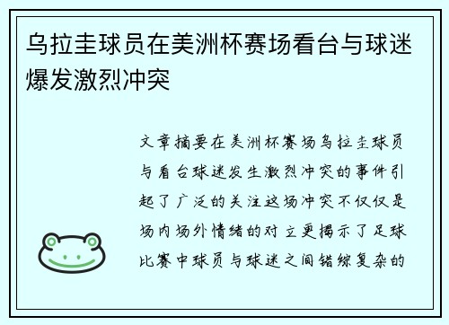 乌拉圭球员在美洲杯赛场看台与球迷爆发激烈冲突 乌拉圭球员在美洲杯赛场看台与球迷爆发激烈冲突